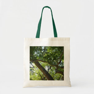 Sycamore Träd Grönt Natature Tygkasse