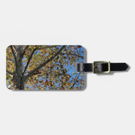 Sycamore träd i fallet mot blå himmel bagagebricka