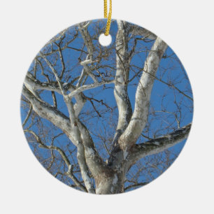 Sycamore Träd mot Winter Himlar Objekt Julgransprydnad Keramik