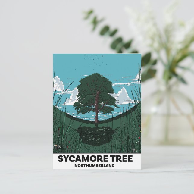 Sycamore Tree Gap Helg Vykort (Stående Fram)