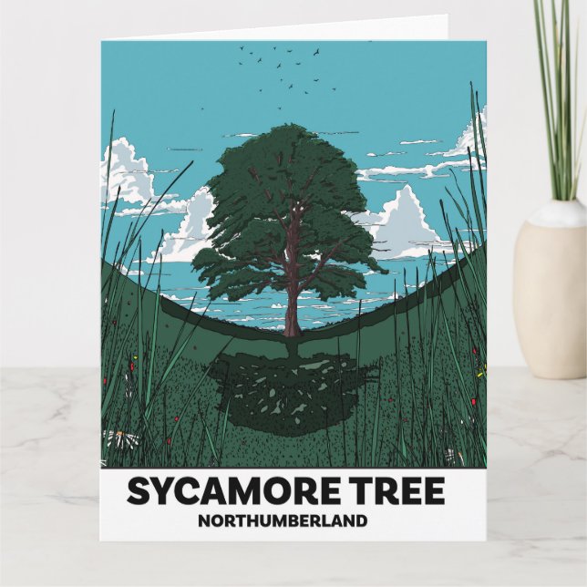 Sycamore Tree Gap Kort (Framsida)