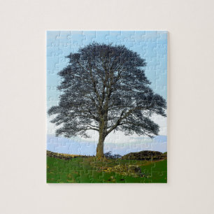 SycamoreGap pussel/Jigsaw Pussel