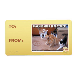 Sychronized Spaz Attack Fraktsedel