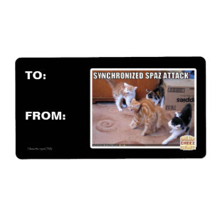 Sychronized Spaz Attack Fraktsedel