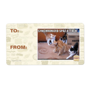 Sychronized Spaz Attack Fraktsedel