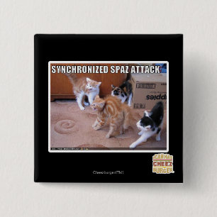 Sychronized Spaz attack Knapp