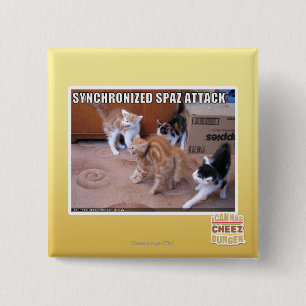 Sychronized Spaz attack Knapp