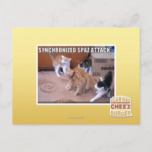 Sychronized Spaz Attack Vykort