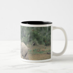 Sydafrika, Addo Elephant Nat'l Park. Bebis Två-Tonad Mugg