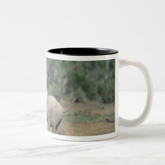 Sydafrika, Addo Elephant Nat'l Park. Bebis Två-Tonad Mugg (Höger)