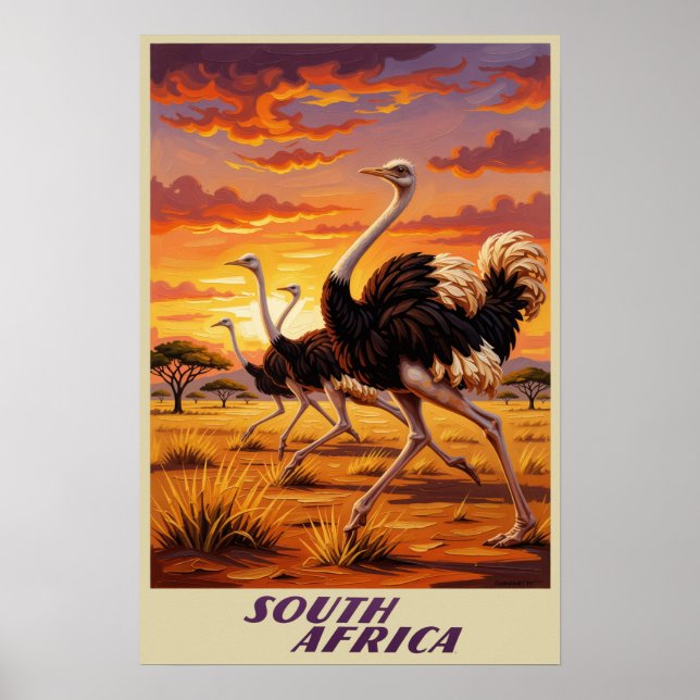 Sydafrika affisch (Framsidan)