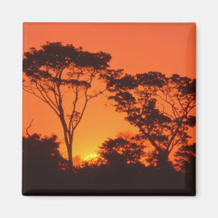 Sydafrika. Afrikansk solnedgång. Magnet