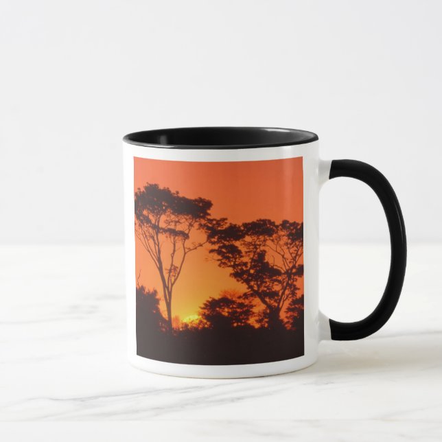 Sydafrika. Afrikansk solnedgång. Mugg (Höger)