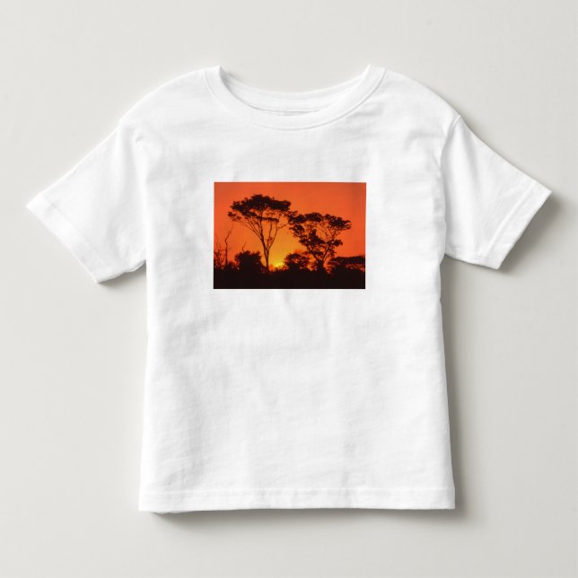 Sydafrika. Afrikansk solnedgång. Tee (Framsida)