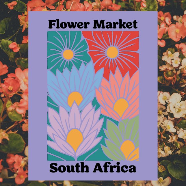 Sydafrika blomstermarknad färgglada proteor vykort (South Africa Flower Market Colorful Proteas Postcard
)
