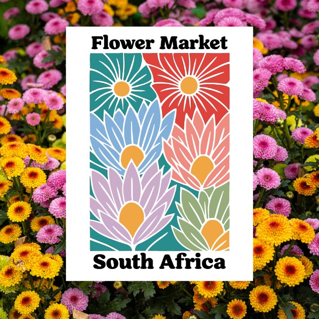 Sydafrika blomstermarknad färgglada proteor vykort (South Africa Flower Market Colorful Proteas Postcard)