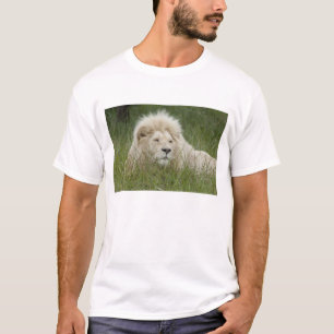 Sydafrika, East London, Inkwenkwezi Private Tee