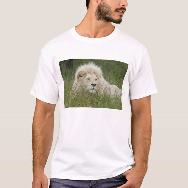 Sydafrika, East London, Inkwenkwezi Private Tee (Framsida)