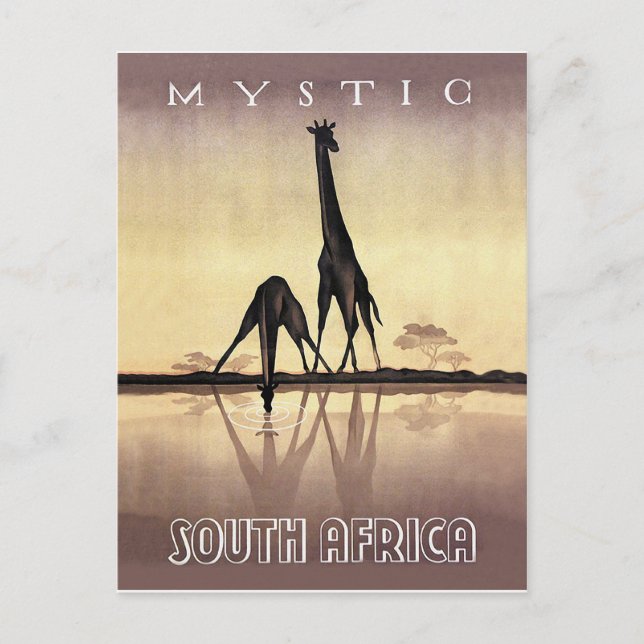 Sydafrika, Giraff, vintage resor Vykort (Framsida)