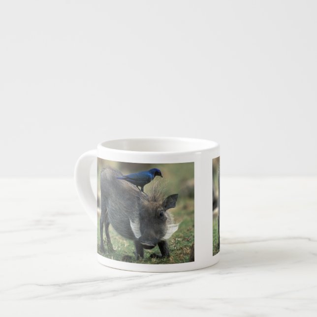 Sydafrika, Pilanesburg GR, Vårtsvin Espressomugg (Framsida vänster)