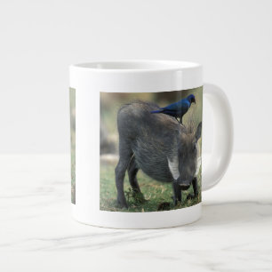 Sydafrika, Pilanesburg GR, Vårtsvin Jumbo Mugg