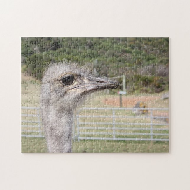Sydafrika Strutsfarm. Pussel (Horisontell)