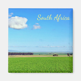 Sydafrika vingårdsfält landskapsmagnet magnet