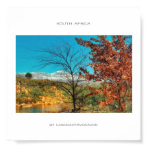 Sydafrika Vinter Höst Landskap Snö Affisch