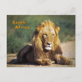 Sydafrika Vykort