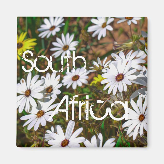 SydAfrikan Velddrif Väster Kusten Vild Flowers Magnet (Framsidan)