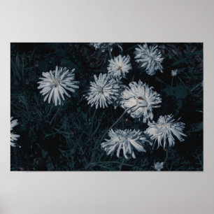 SydAfrikans Grönt Vita ursprungsblommor Poster