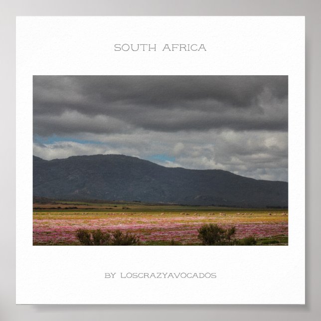 SydAfrikans Vild Flowers Landscape Travel Poster (Framsidan)