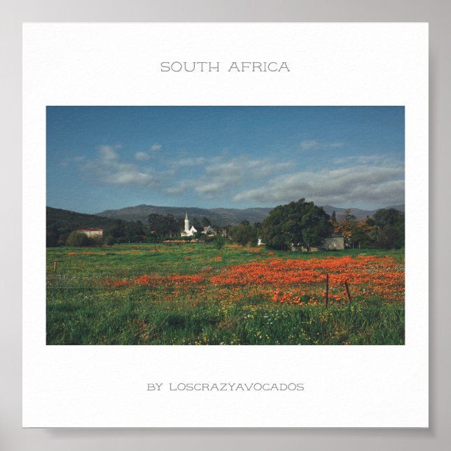 SydAfrikans Vild Flowers Landscape Travel Poster (Framsidan)