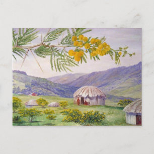 Sydafrikanska doornboom Marianne North Artist Vykort