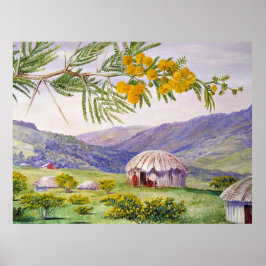 Sydafrikanska doornboom och Fingo Huts Poster