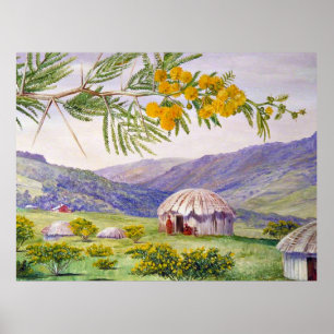 Sydafrikanska doornboom och Fingo Huts Poster