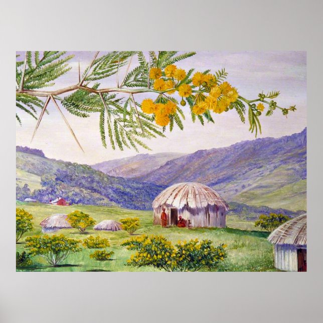 Sydafrikanska doornboom och Fingo Huts Poster (Framsidan)