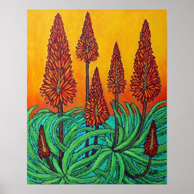 Sydafrikanska Fireball 16 x 20 Poster Pappert (pro (Framsidan)