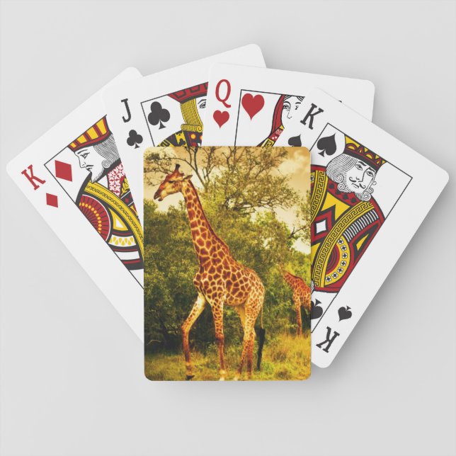 Sydafrikanska giraffer spelkort (Baksidan)
