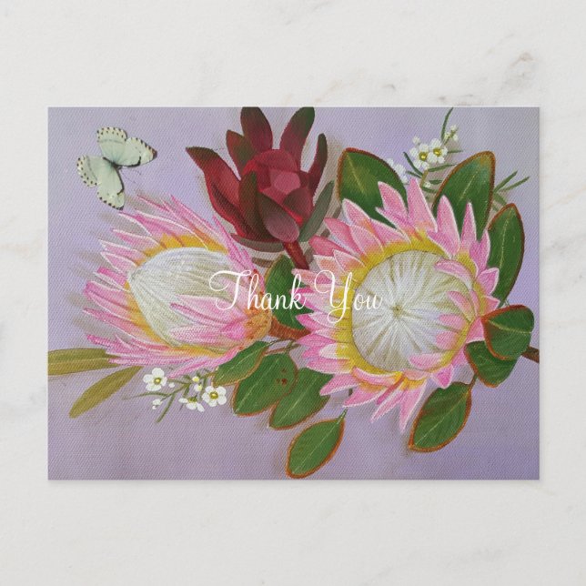 Sydafrikanska Proteas Tack Vykort (Framsida)