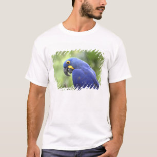 Sydamerika, Brasilien, Pantanal T Shirt