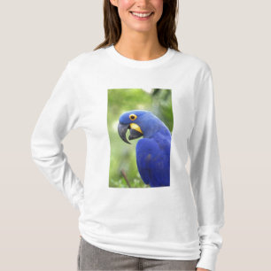 Sydamerika, Brasilien, Pantanal T-shirt