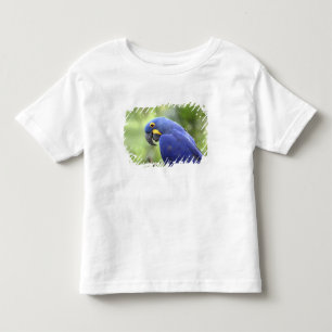 Sydamerika, Brasilien, Pantanal T Shirt
