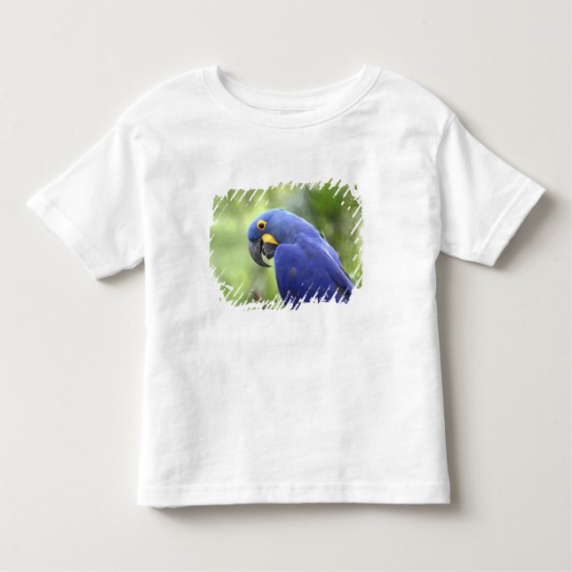 Sydamerika, Brasilien, Pantanal T Shirt (Framsida)