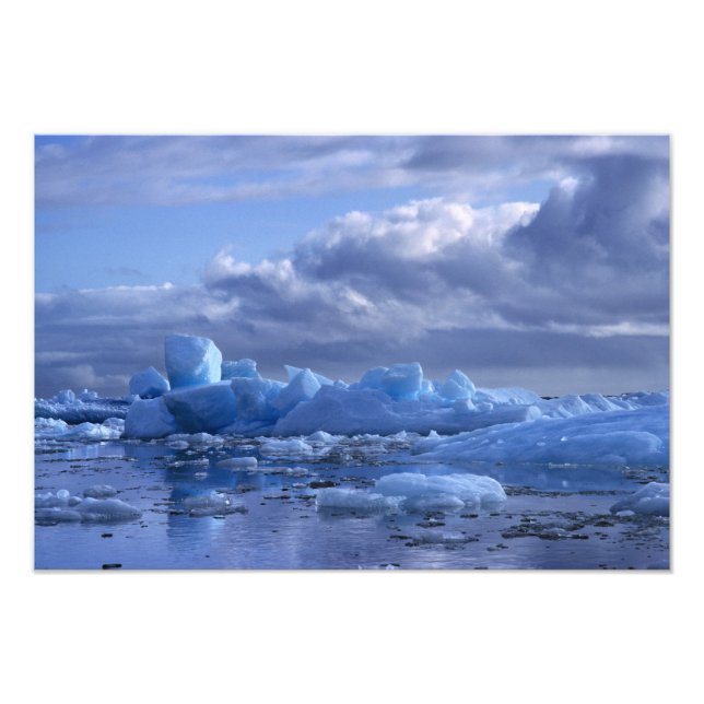 Sydamerika, Chile, San Rafael Lagoon NP. Fototryck (Framsidan)