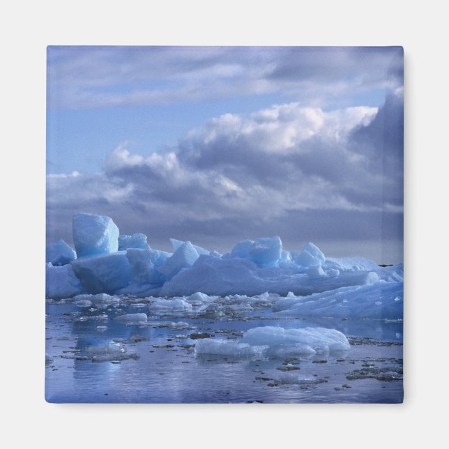 Sydamerika, Chile, San Rafael Lagoon NP. Magnet (Framsidan)