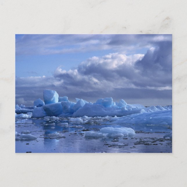 Sydamerika, Chile, San Rafael Lagoon NP. Vykort (Framsida)