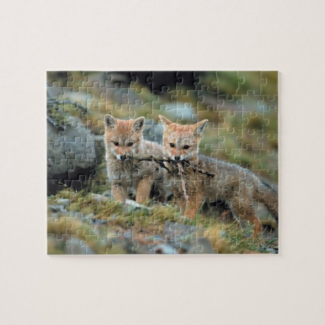 Sydamerika, Chile, Torres del Paine National Pussel (Horisontell)