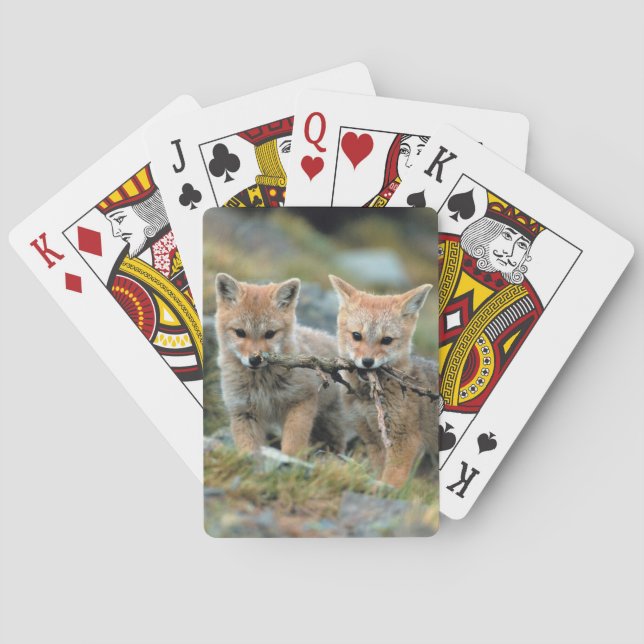 Sydamerika, Chile, Torres del Paine National Spelkort (Baksidan)