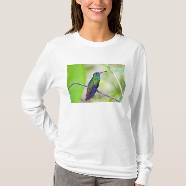 Sydamerika, Costa Rica, Sarapiqui, La Selva T-shirt (Framsida)